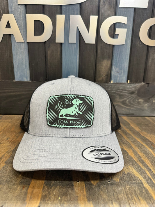 I got friends in low places hat